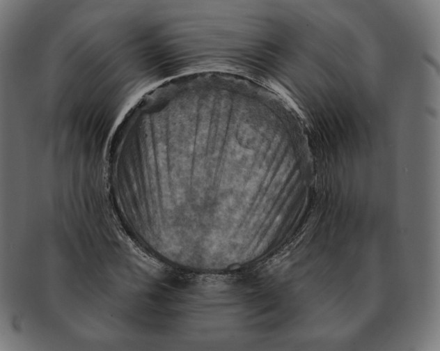 X0000091711116200709210936