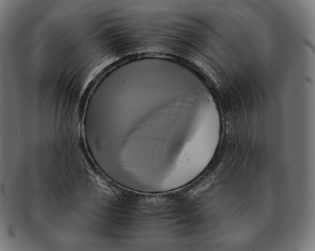 X0000091711117200709210936