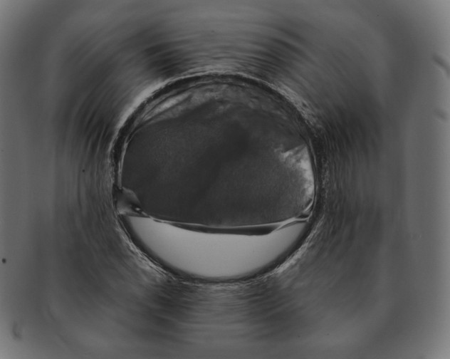 X0000091711118200709210936