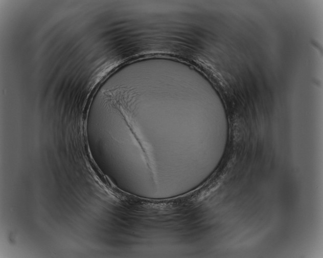 X0000091711121200709210936