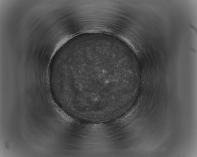 X0000091711122200709210936