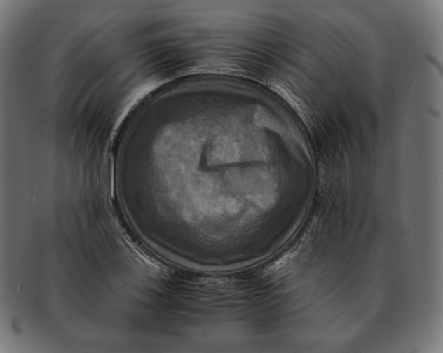 X0000091711123200709210936