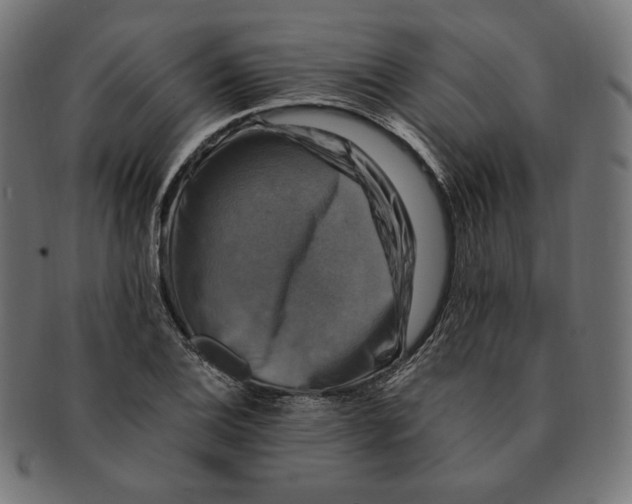 X0000091711124200709210936