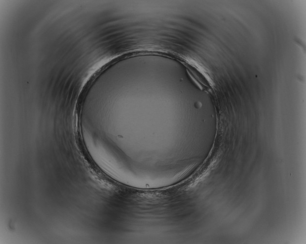 X0000091711125200709210936