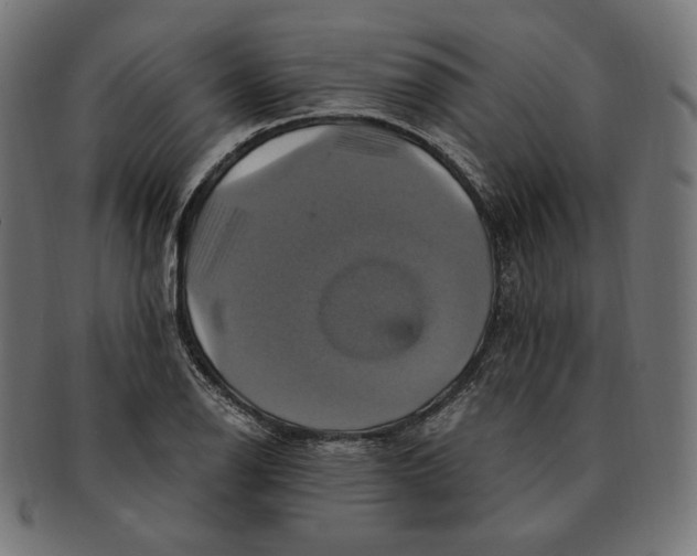 X0000091711126200709210936