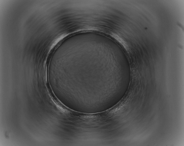 X0000091711127200709210936