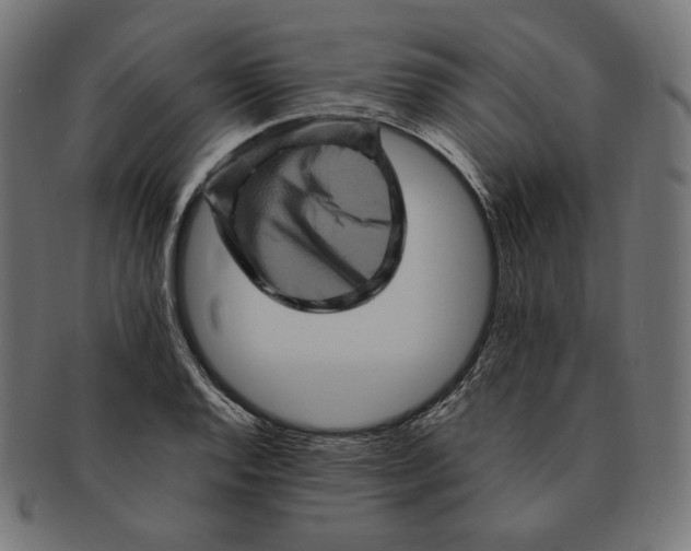 X0000091711128200709210936