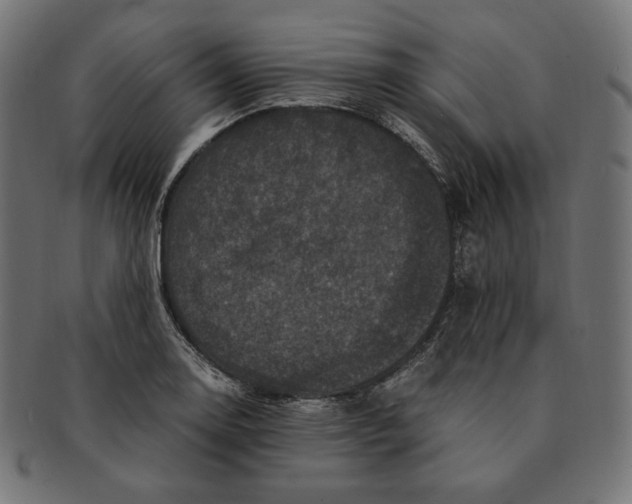 X0000091711130200709210936