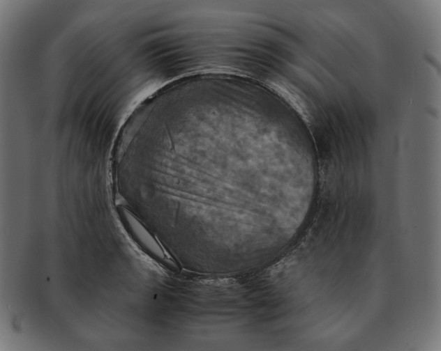 X0000091711133200709210936