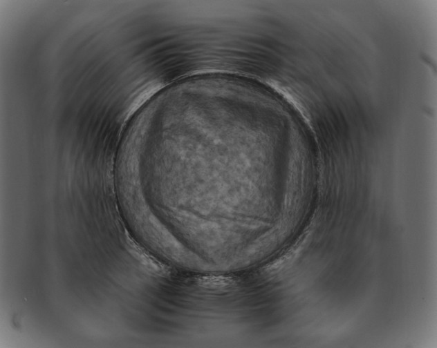 X0000091711137200709210936