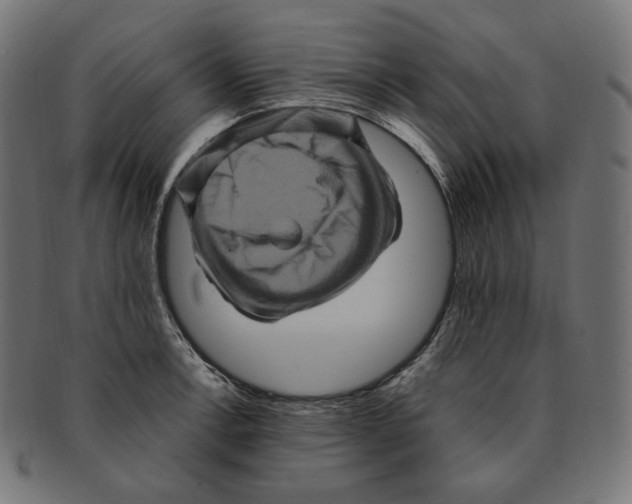 X0000091711138200709210936