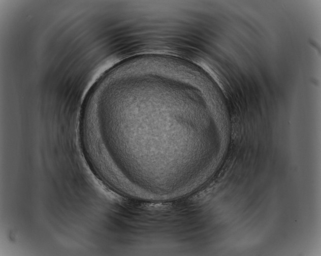 X0000091711139200709210936