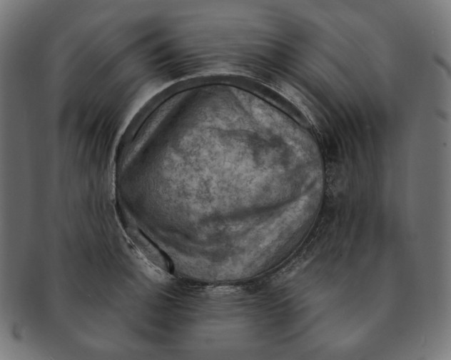 X0000091711140200709210936