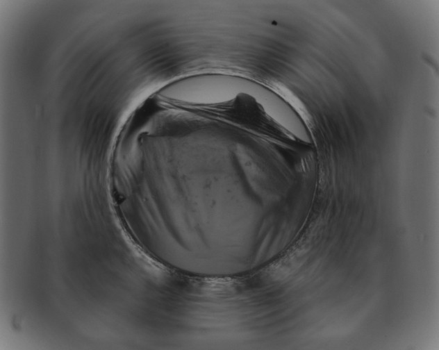 X0000091711144200709210937