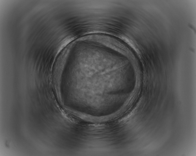 X0000091711145200709210937