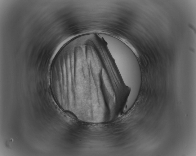 X0000091711148200709210937