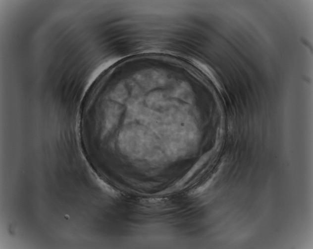 X0000091711149200709210937