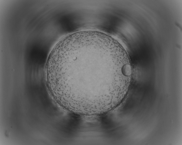 X0000091711150200709210937