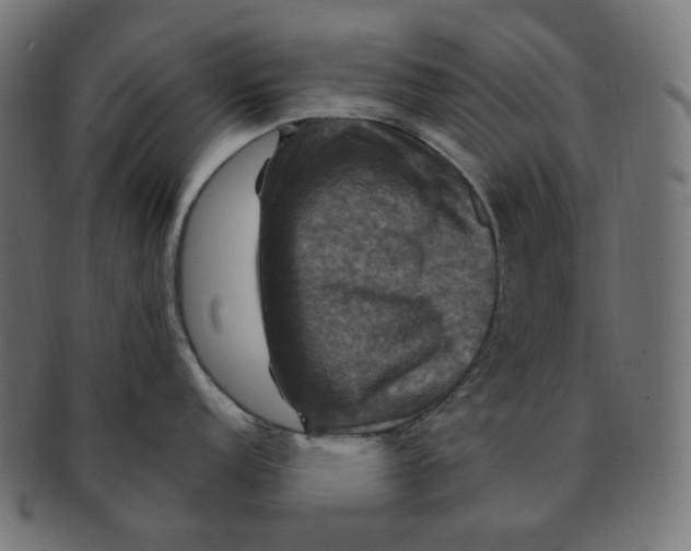 X0000091711152200709210937