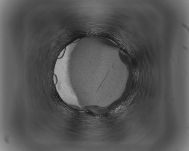 X0000091711153200709210936