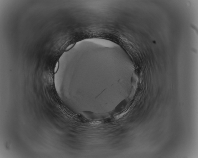 X0000091711155200709210936