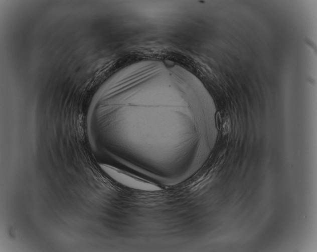 X0000091711156200709210936