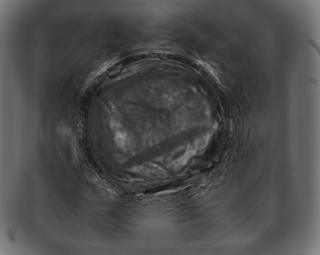 X0000091711159200709210936