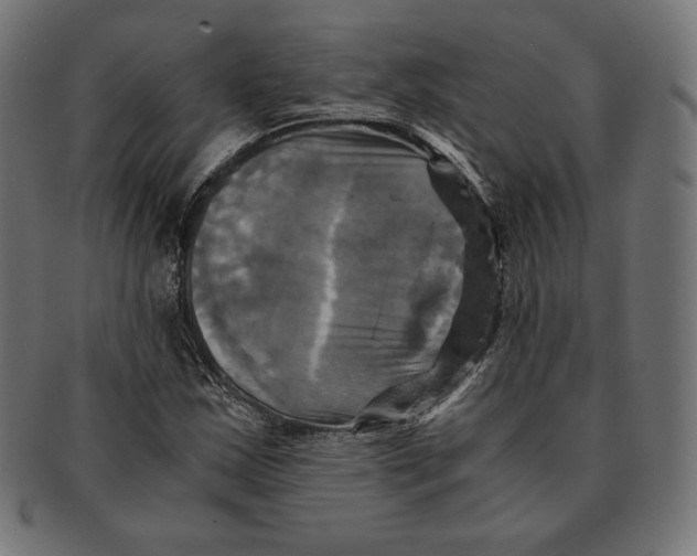 X0000091711163200709210936