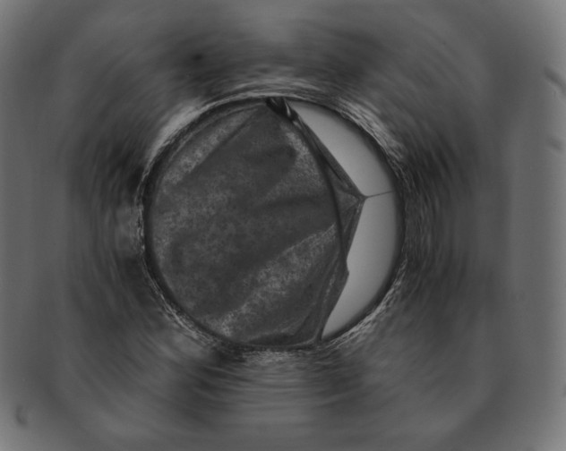 X0000091711164200709210936