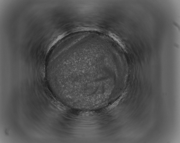 X0000091711165200709210936