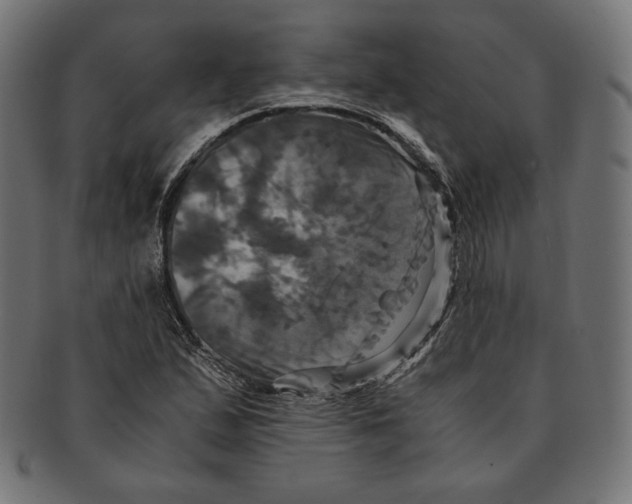 X0000091711167200709210936