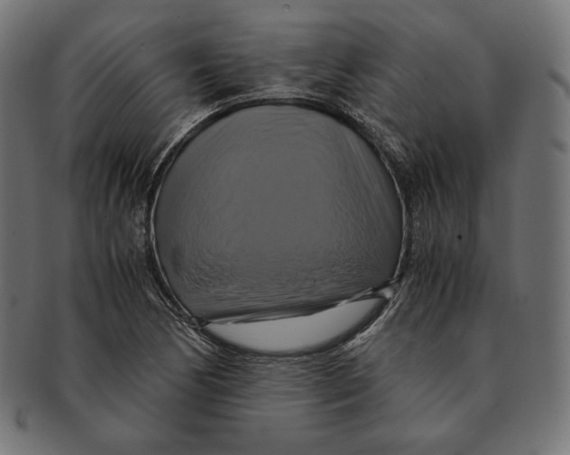 X0000091711170200709210936