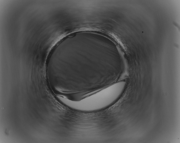 X0000091711173200709210936