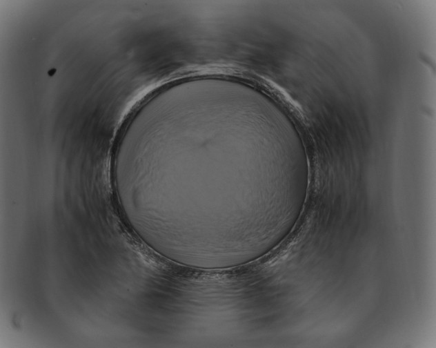 X0000091711174200709210936