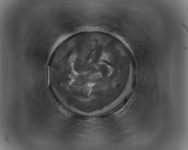 X0000091711175200709210936