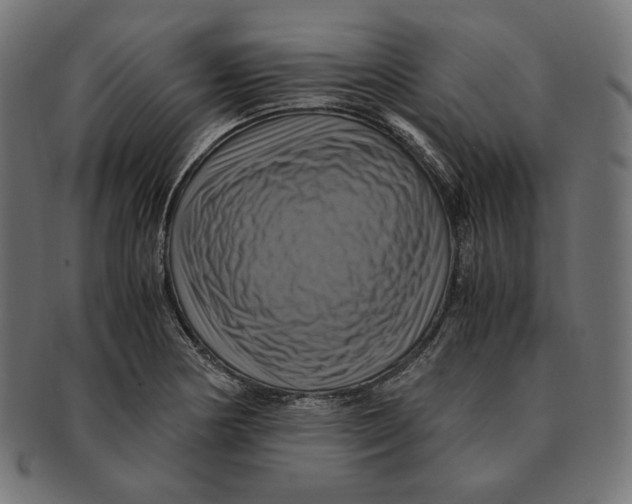 X0000091711178200709210936