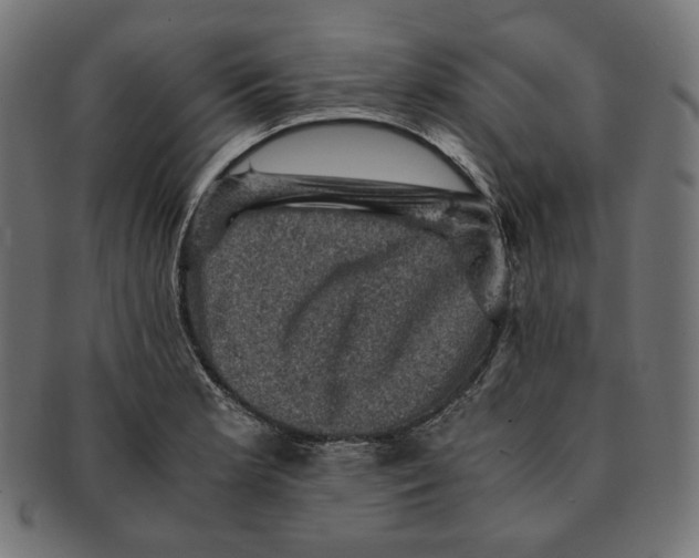 X0000091711181200709210936