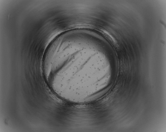 X0000091711182200709210936