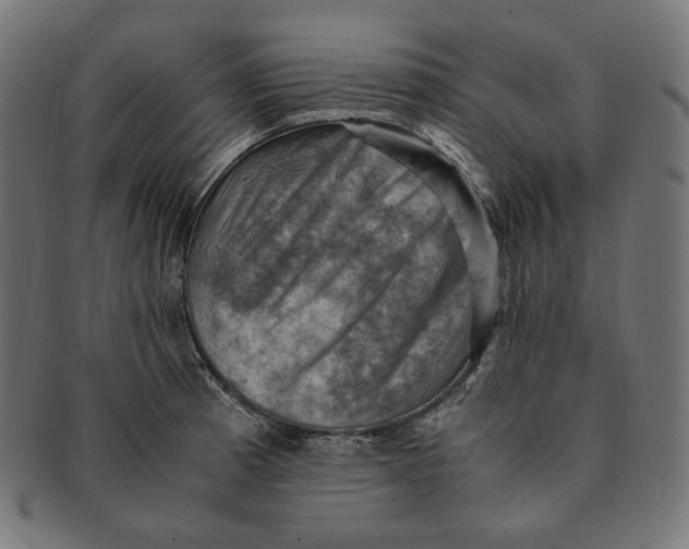 X0000091711185200709210936