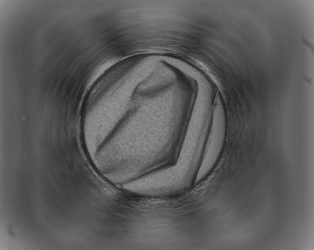 X0000091711187200709210936