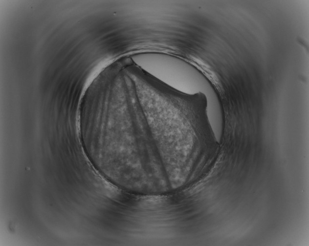 X0000091711188200709210936