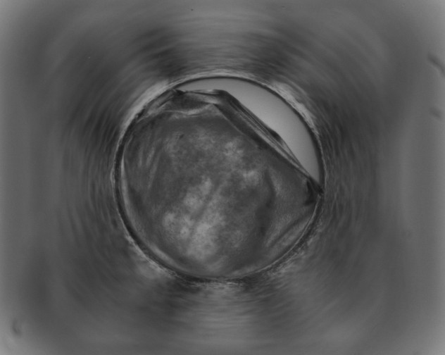 X0000091711189200709210936