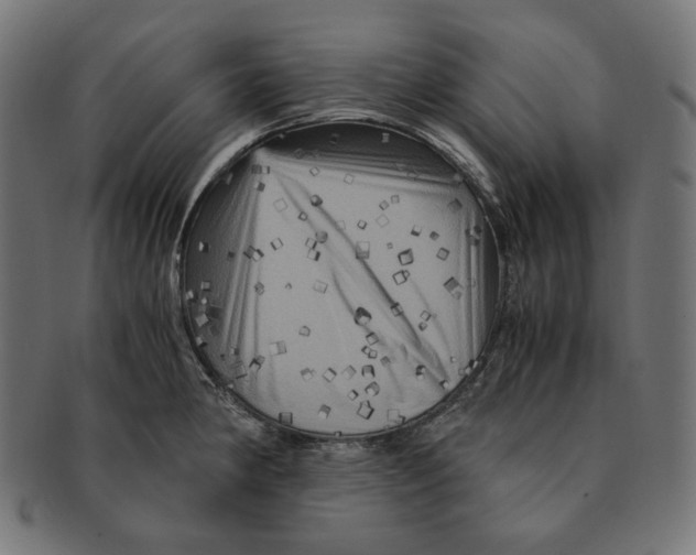 X0000091711190200709210936