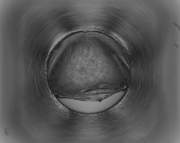 X0000091711192200709210936