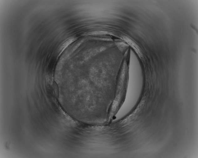 X0000091711193200709210936