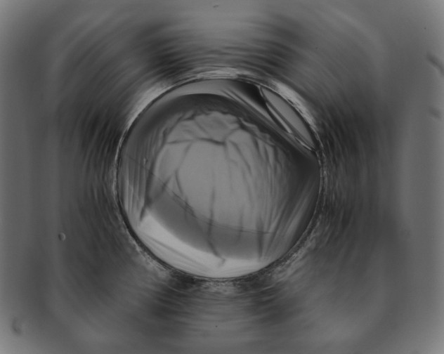 X0000091711194200709210936