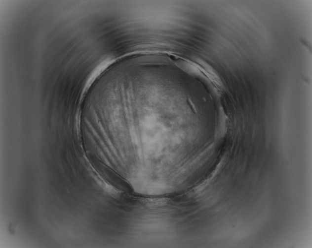 X0000091711196200709210936