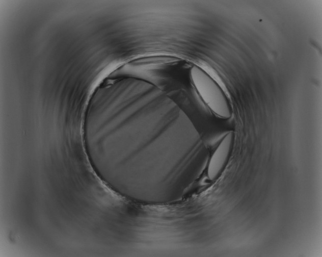 X0000091711197200709210936