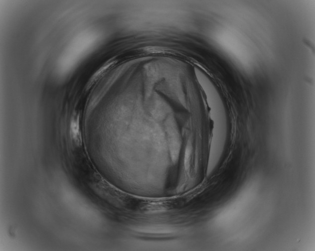 X0000091711198200709210935