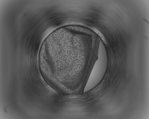 X0000091711199200709210935